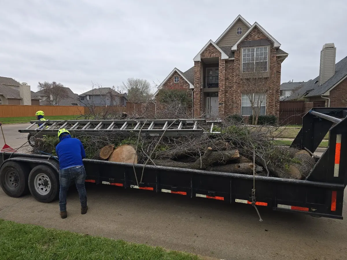 Expert Tree Fertilization with proper safety equipment in Smithshire